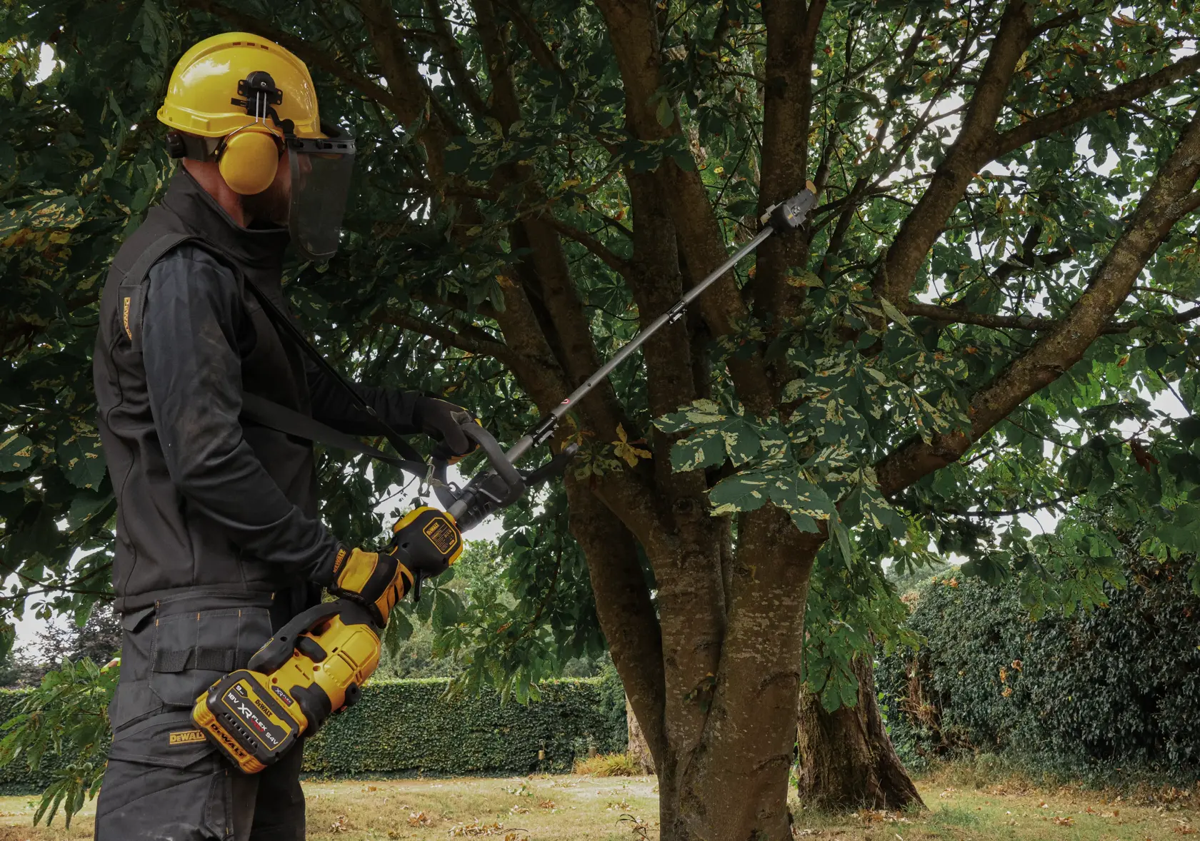 Fotografía DEWALT herramienta podar árbol. SKUs: DCMASED57X1, DCMASED9N, DCMASPH6N, DCMASPS5N, DCMASST1N, DCMASBC1N