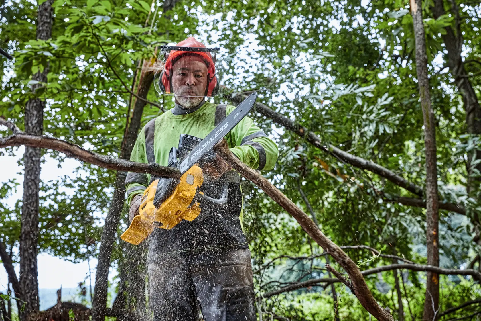 A person wearing safety gear is using a DEWALT cordless chainsaw to cut a tree branch outdoors in a forested area.