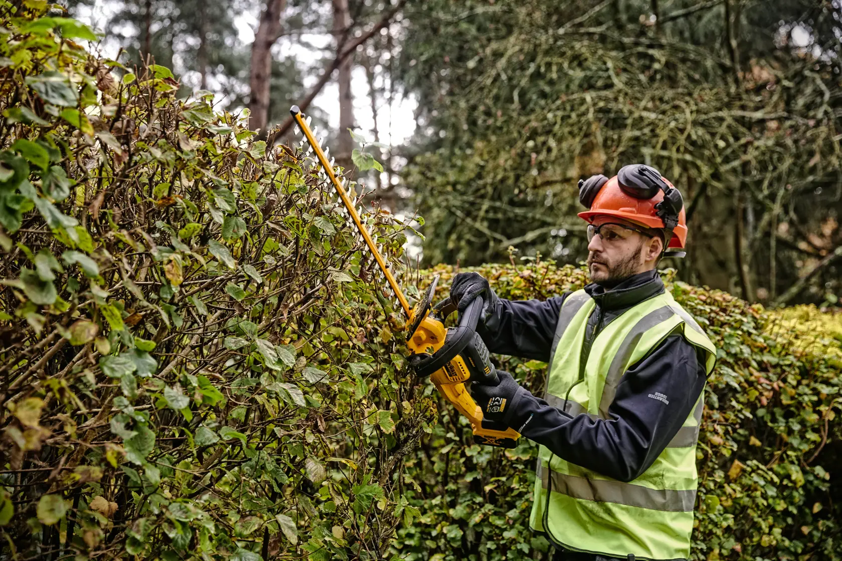 Person trims hedge outdoors with a yellow DEWALT cordless hedge trimmer, wearing protective gear and safety vest.