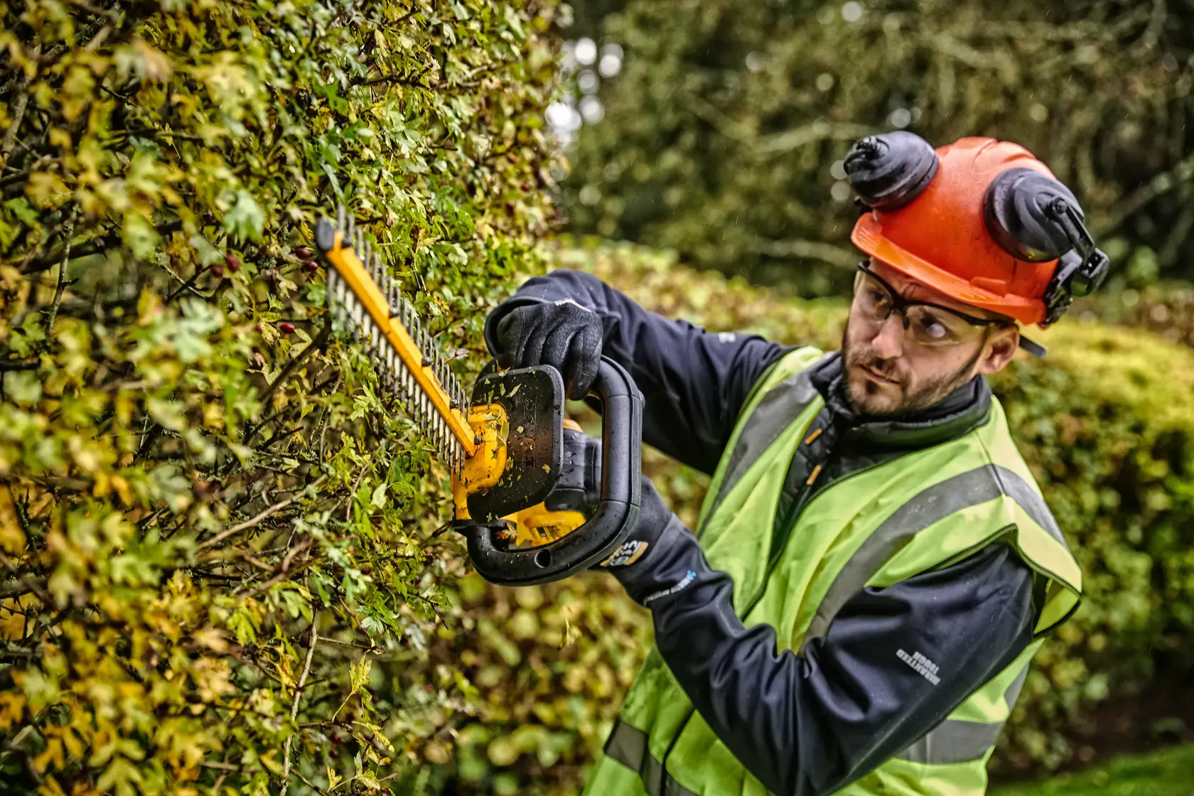 Person trims hedge with DEWALT cordless hedge trimmer, wearing safety gear and high-visibility vest outdoors.