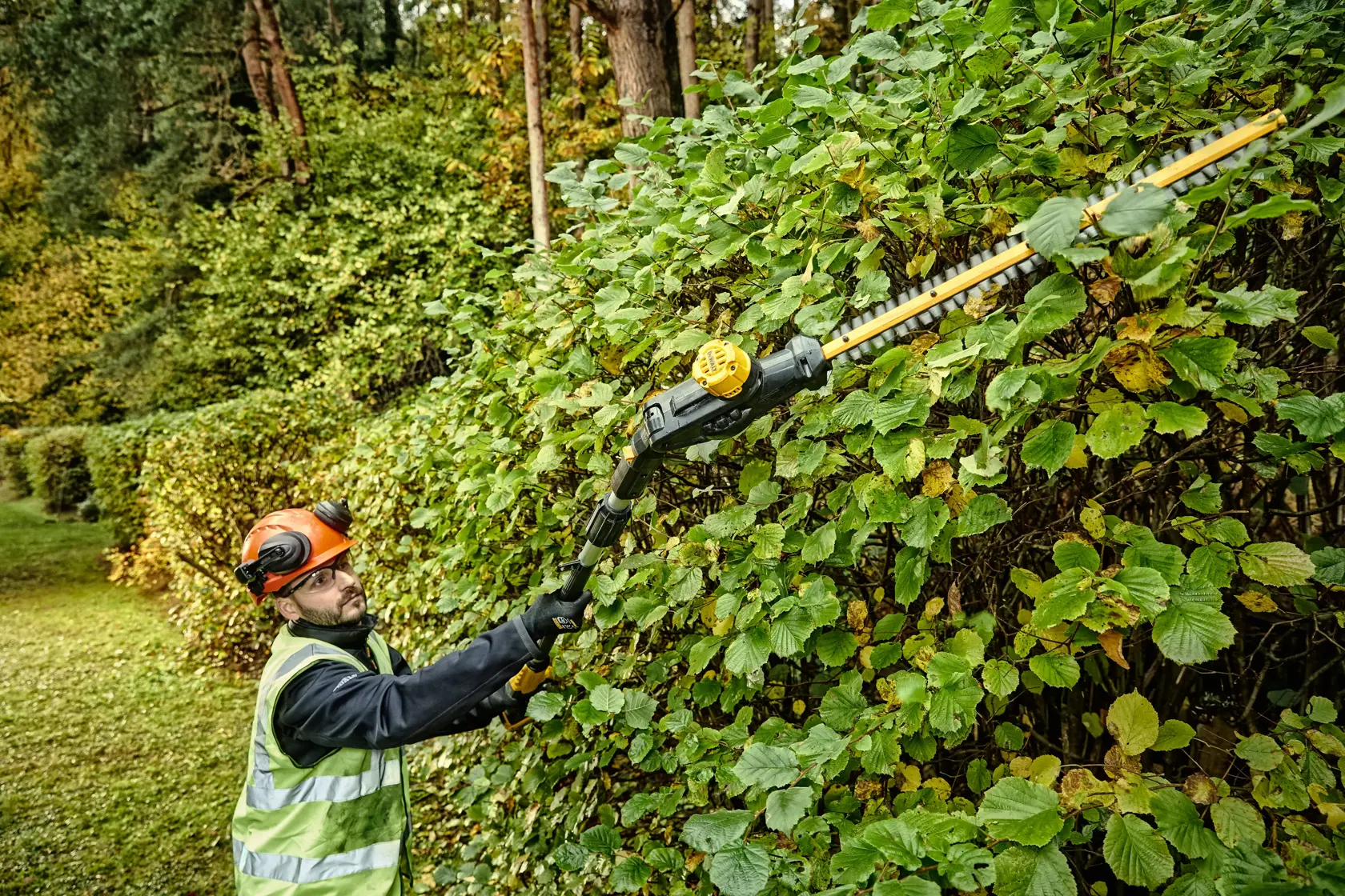 Persona recorta seto alto con cortasetos inalámbrico DEWALT DCMPH566N al aire libre.