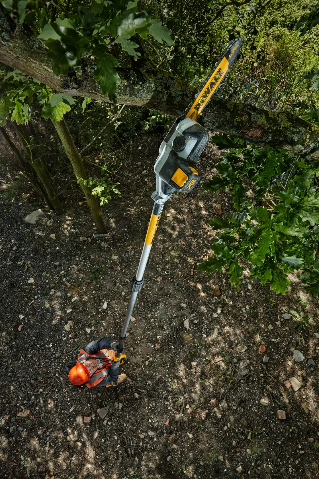 Persona usa una motosierra DEWALT para podar ramas de árbol, llevando equipo de protección.